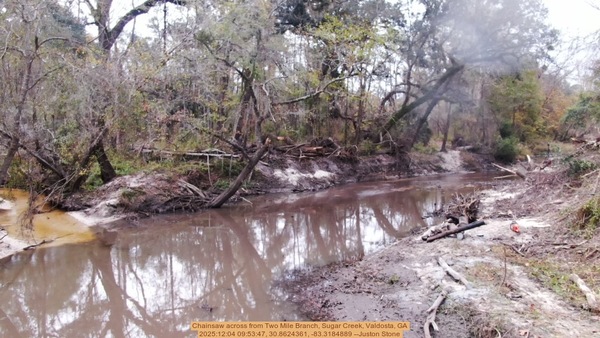 [Chainsaw across from Two Mile Branch, Sugar Creek, Valdosta, GA, 2025:12:04 09:53:47, 30.8624361, -83.3184889 --Juston Stone]