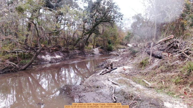 Logs piled on bank, Sugar Creek, Valdosta, GA, 2025:12:04 09:53:53, 30.8624528, -83.3184778 --Juston Stone