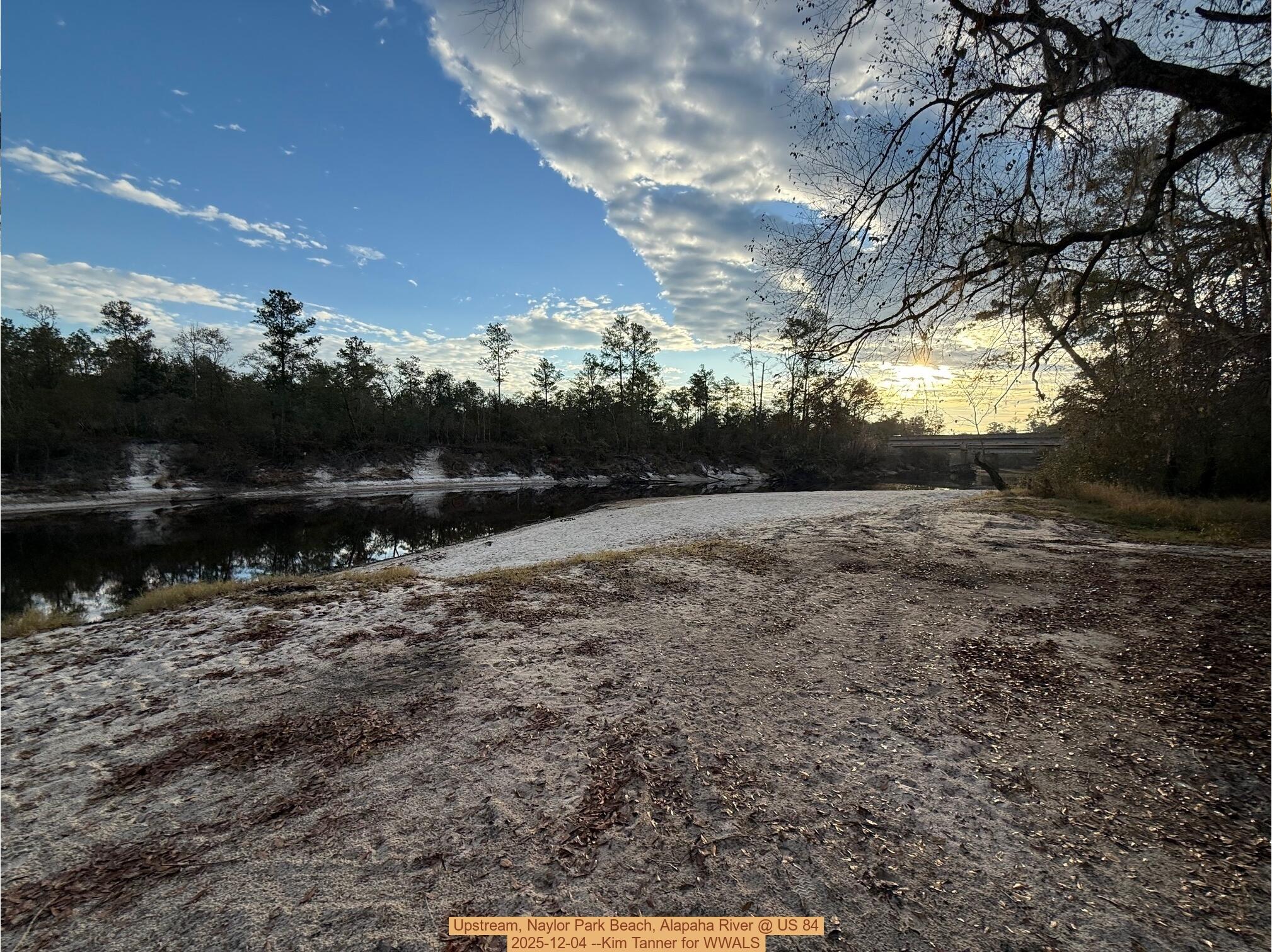 Upstream, Naylor Park Beach, Alapaha River @ US 84 2025-12-04 --Kim Tanner for WWALS
