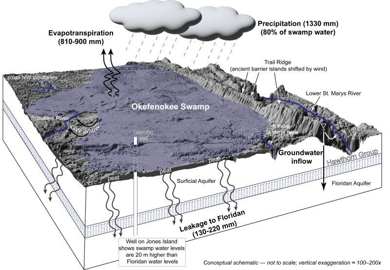 Okefenokee Swamp to Floridan Aquifer 2025-12-09, --Prof. Jaivime Evaristo