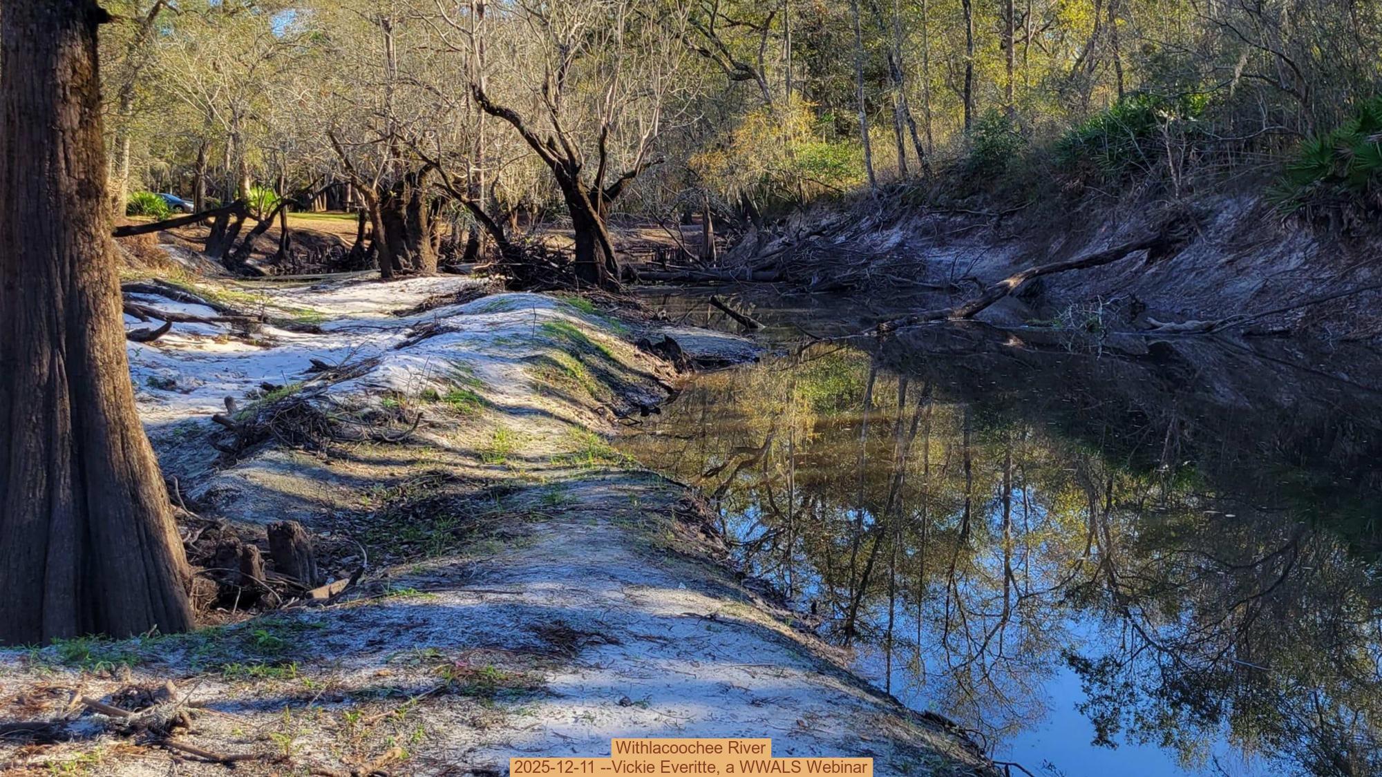 Withlacoochee River, 2025-12-11 --Vickie Everitte, a WWALS Webinar