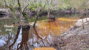 [Thank you! with tea-colored river water, 2025-12-11 --Vickie Everitte, a WWALS Webinar]