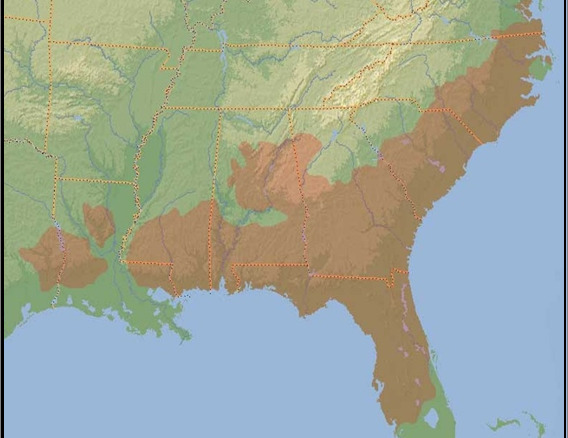 Map: Wider Wiregrass Region --Wiregrass Digital History Project