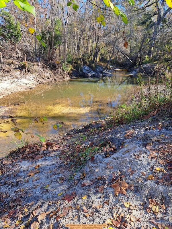 Two Mile Branch, Sugar Creek @ WaterGoat 2025-12-11 --Suzy Hall for WWALS