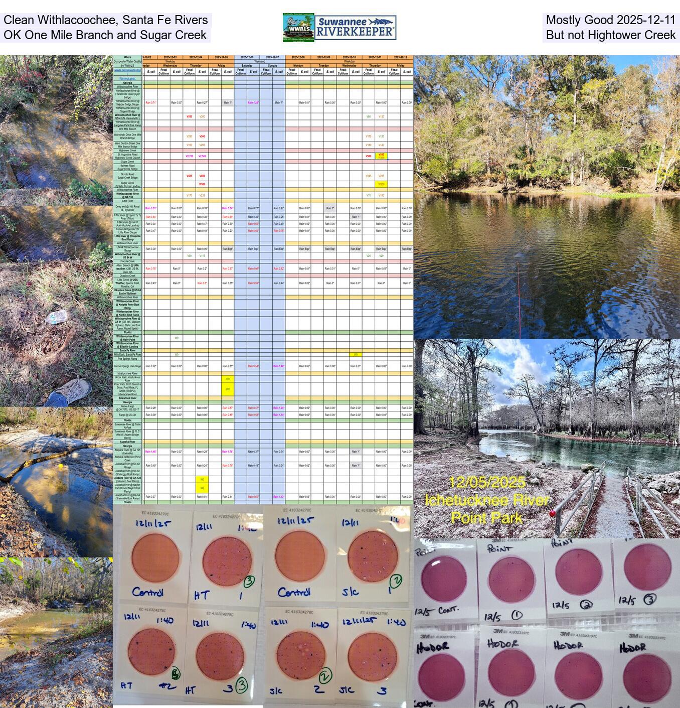 Clean Withlacoochee, Santa Fe Rivers, Mostly Good 2025-12-11, OK One Mile Branch and Sugar Creek, But not Hightower Creek