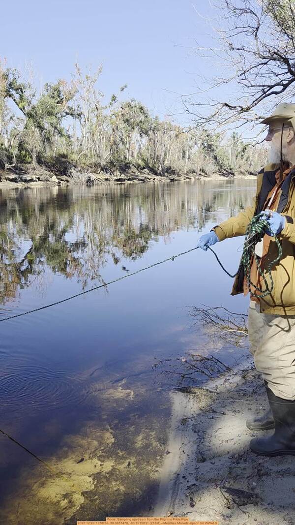 Movie: Sampling upstream from the Pilgrims Pride Pipe, 2025:12:20 11:58:36, 30.3657478, -83.1915831 (218M) --Merrillee Malwitz-Jipson for WWALS