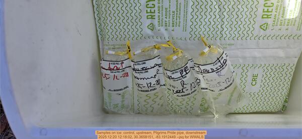 Samples on ice: control, upstream, Pilgrims Pride pipe, downstream, 2025:12:20 12:18:02, 30.3658151, -83.1912449 --jsq for WWALS