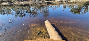 [End of Pilgrims Pride Outflow Pipe, 2025:12:20 11:53:16, 30.3656622, -83.1914887 --Merrillee Malwitz-Jipson for WWALS]