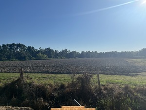 [Paul King Road, looking east, 2025:09:04 09:05:13, 31.2688194, -83.2457500 --GA-EPD]