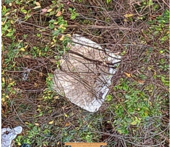 Square trash, Hightower Creek @ St. Augustine Road, 2025-12-30 --Suzy Hall for WWALS