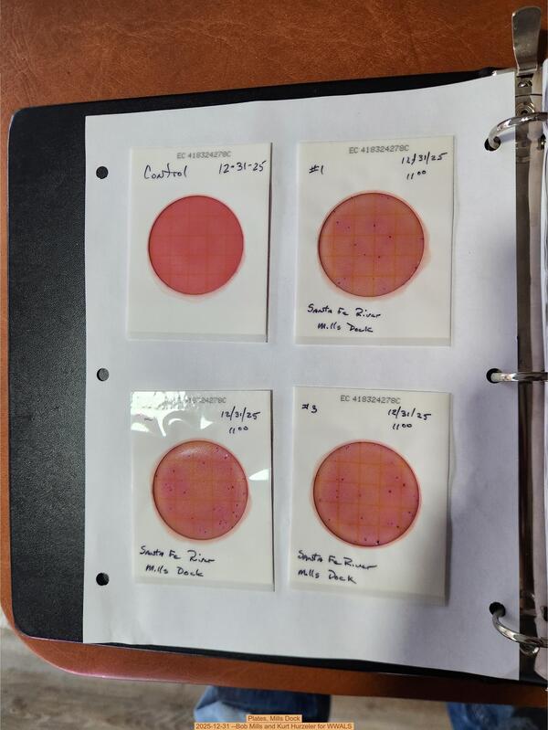 Plates, Mills Dock 2025-12-31 --Bob Mills and Kurt Hurzeler for WWALS