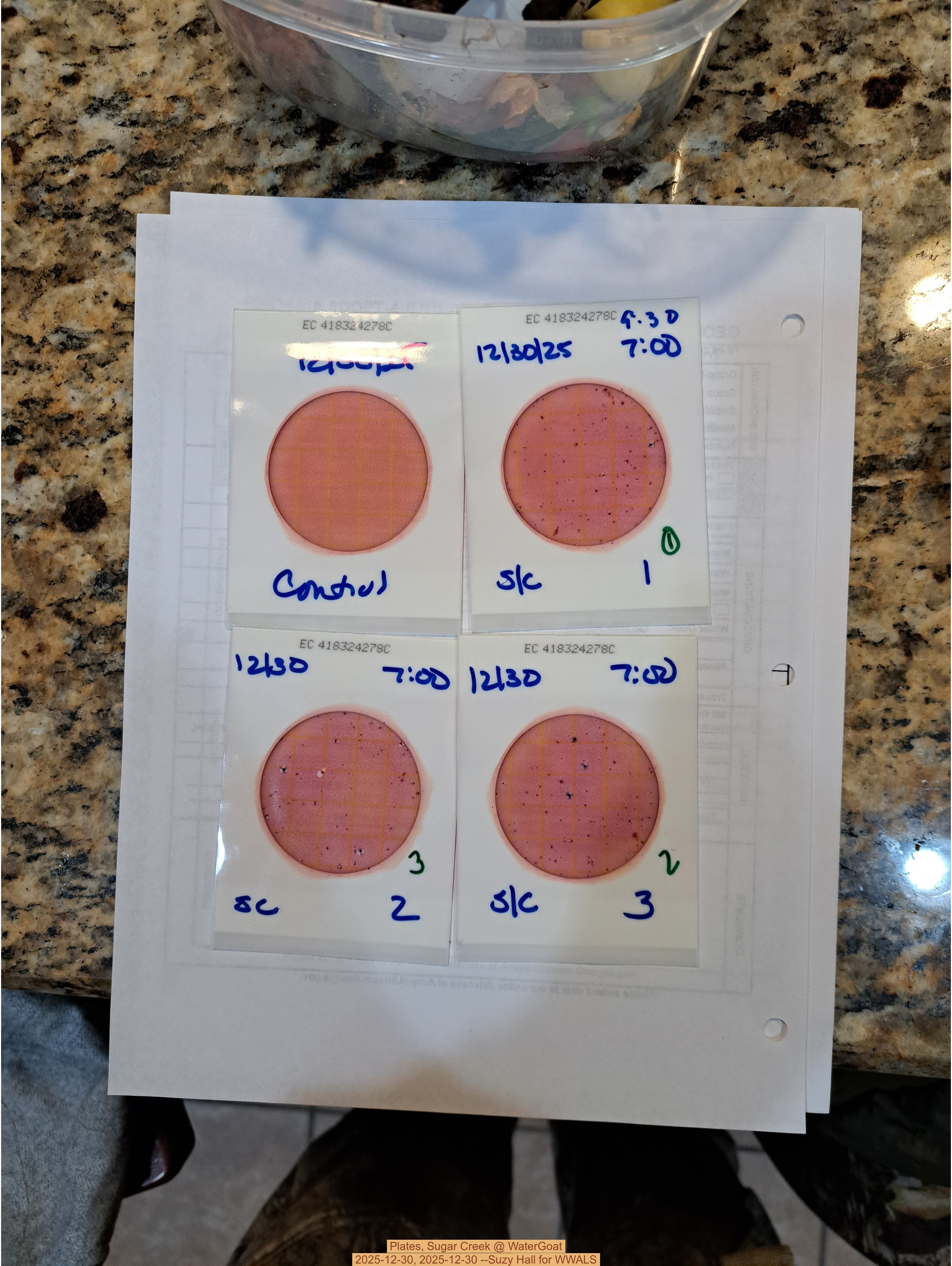 Plates, Sugar Creek @ WaterGoat 2025-12-30, 2025-12-30 --Suzy Hall for WWALS