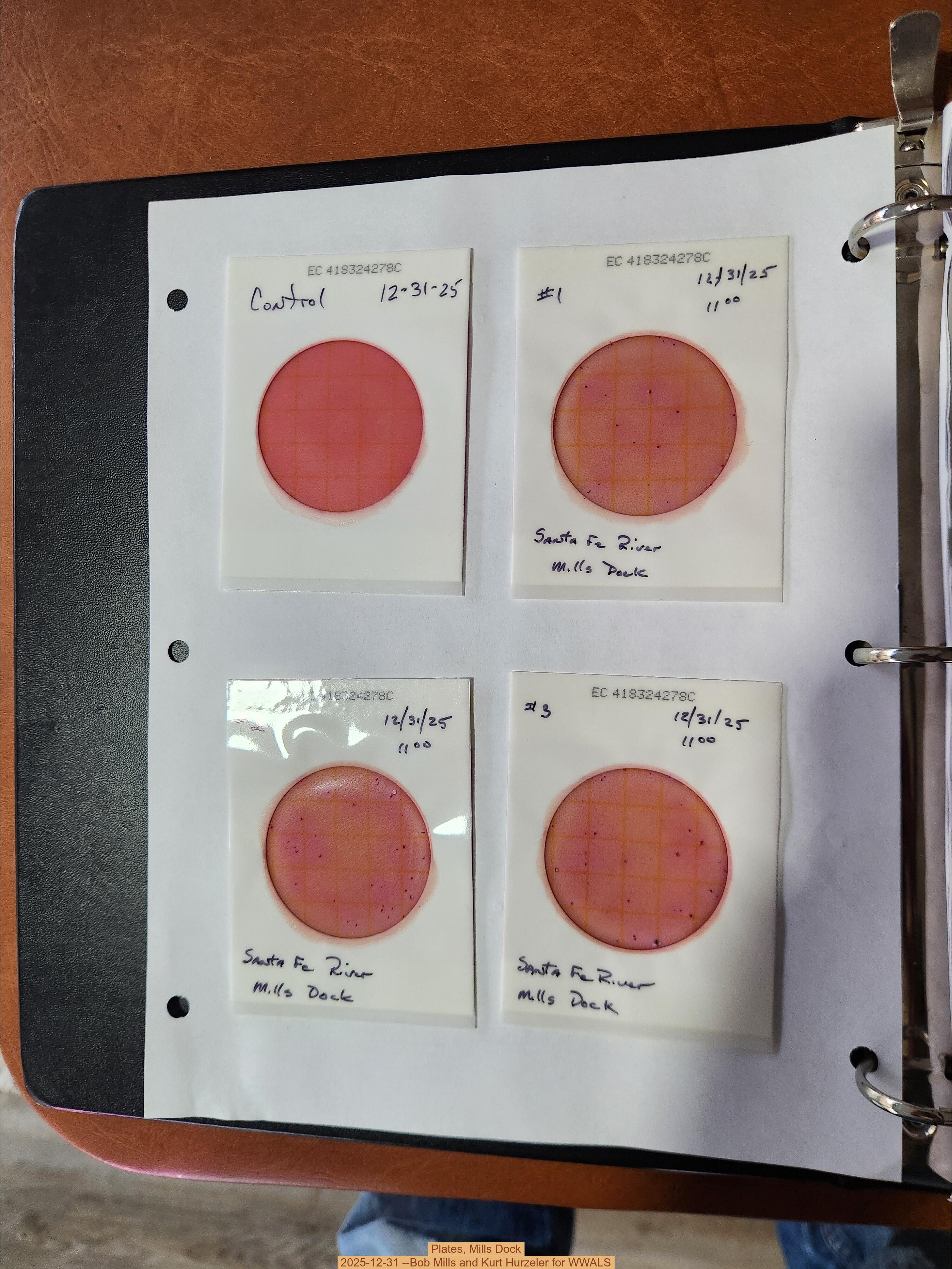 Plates, Mills Dock 2025-12-31 --Bob Mills and Kurt Hurzeler for WWALS