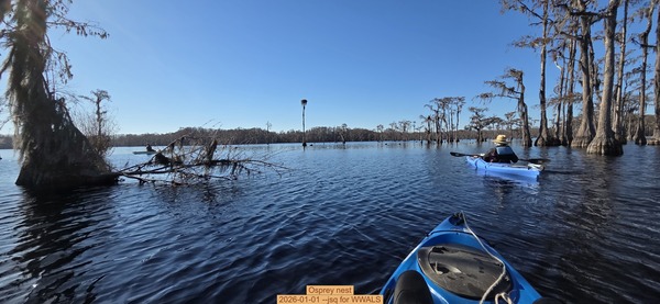 [Osprey nest, 2026-01-01 --jsq for WWALS]