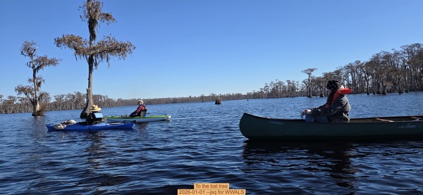 [To the bat tree, 2026-01-01 --jsq for WWALS]