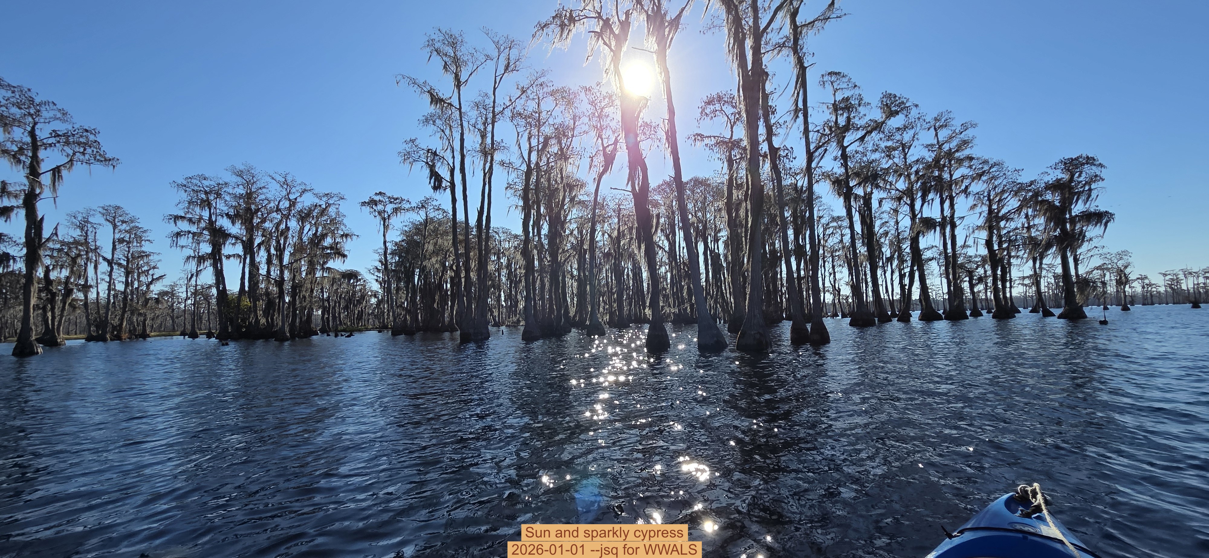 Sun and sparkly cypress, 2026-01-01 --jsq for WWALS