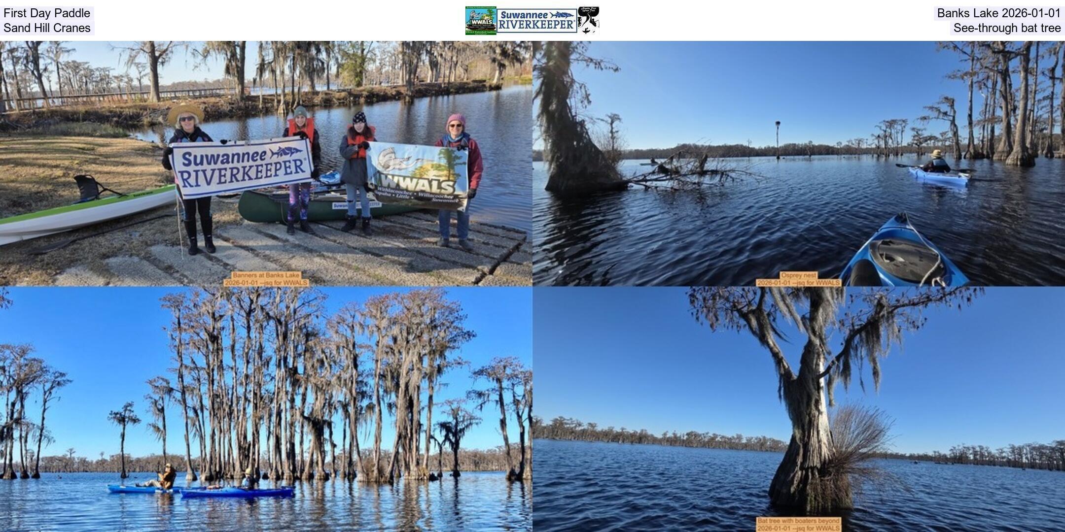 First Day Paddle, Banks Lake 2026-01-01, Sand Hill Cranes, See-through bat tree
