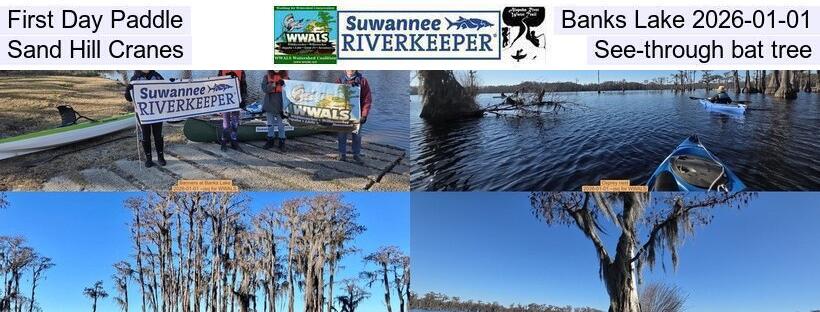 First Day Paddle, Banks Lake 2026-01-01, Sand Hill Cranes, See-through bat tree