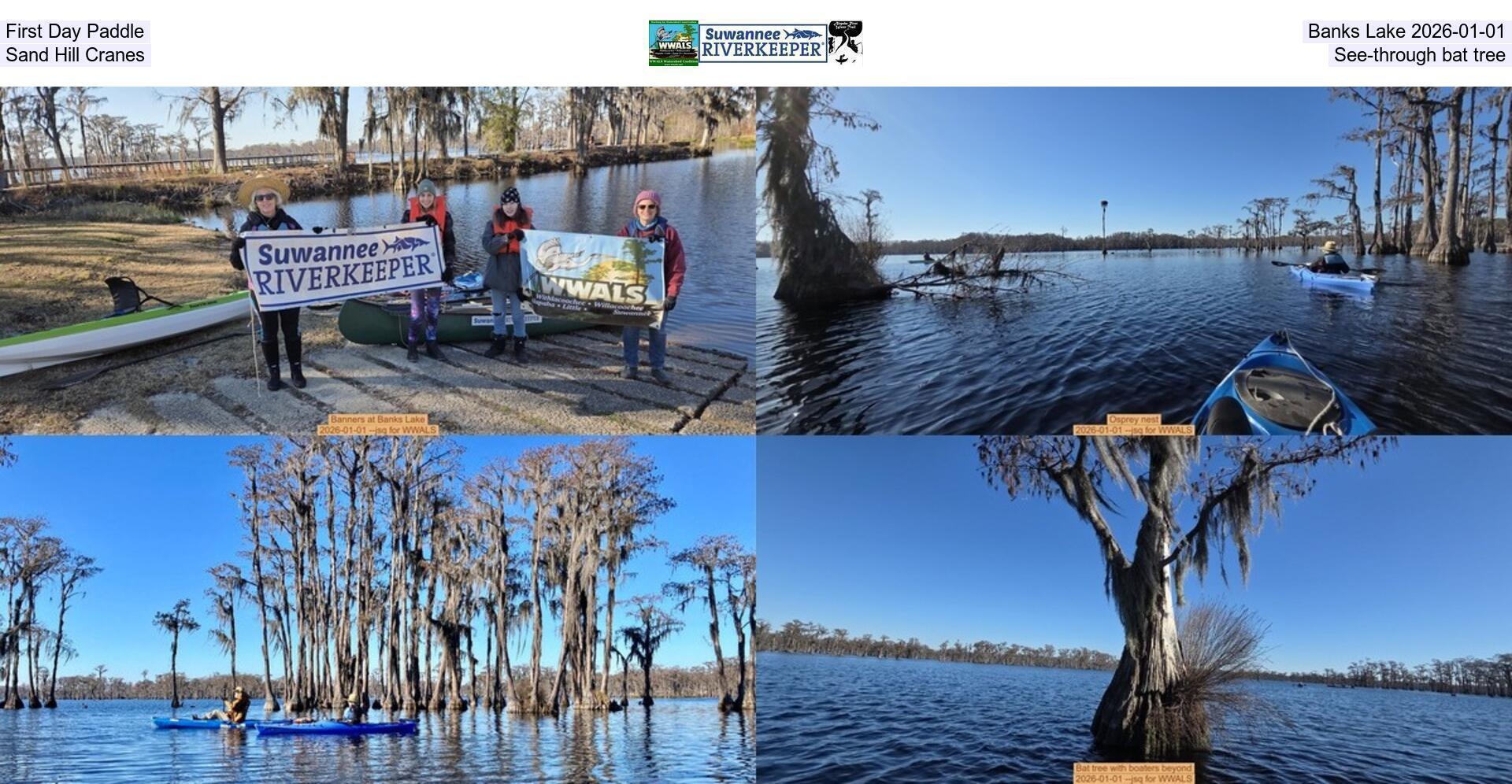 [First Day Paddle, Banks Lake 2026-01-01, Sand Hill Cranes, See-through bat tree]