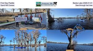 [First Day Paddle, Banks Lake 2026-01-01, Sand Hill Cranes, See-through bat tree]