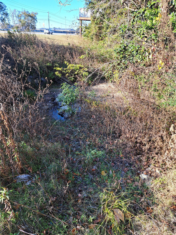 [Looking north, Hightower Creek at Norman Drive, Hightower Creek @ Norman Drive 2026-01-01 --Suzy Hall for WWALS]