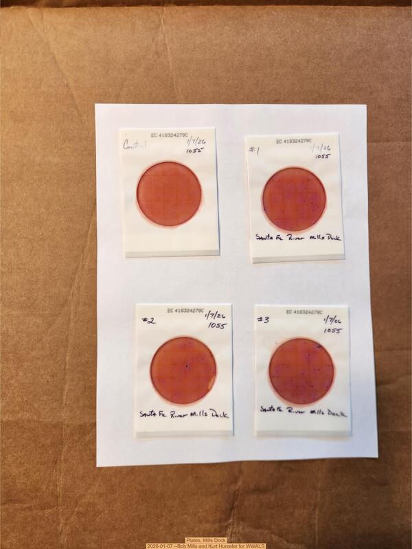 Plates, Mills Dock 2026-01-07 --Bob Mills and Kurt Hurzeler for WWALS