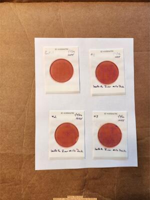 [Plates, Mills Dock 2026-01-07 --Bob Mills and Kurt Hurzeler for WWALS]