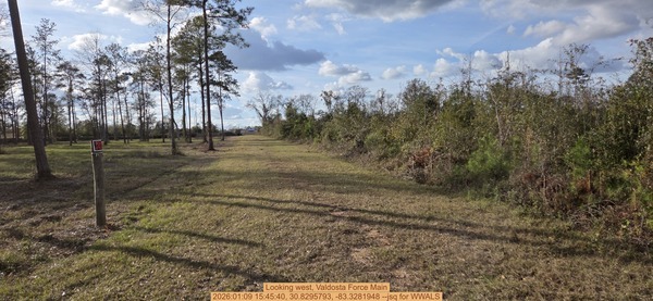 [Looking west, Valdosta Force Main, 2026:01:09 15:45:40, 30.8295793, -83.3281948 --jsq for WWALS]