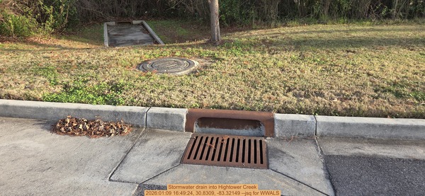 [Stormwater drain into Hightower Creek, 2026:01:09 16:49:24, 30.8309, -83.32149 --jsq for WWALS]