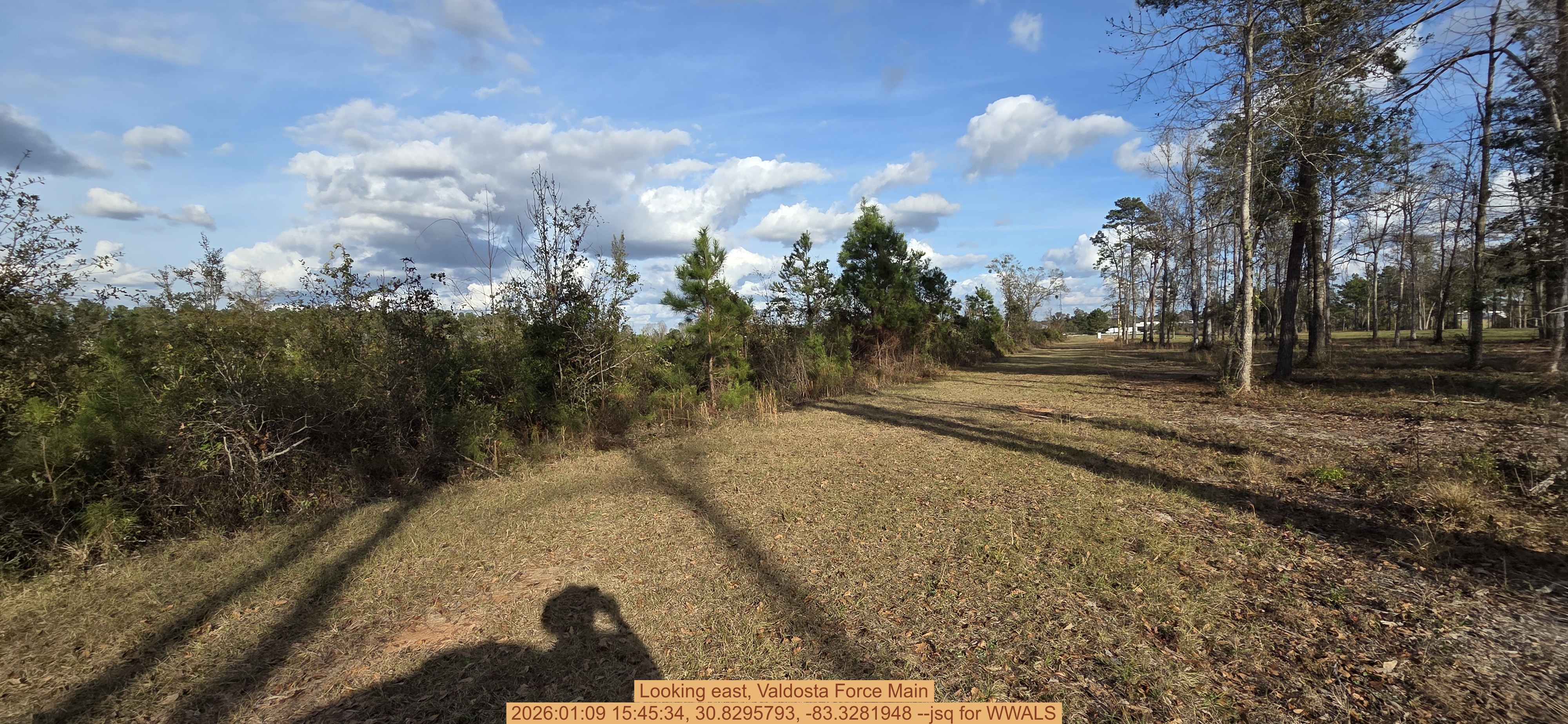 Looking east, Valdosta Force Main, 2026:01:09 15:45:34, 30.8295793, -83.3281948 --jsq for WWALS