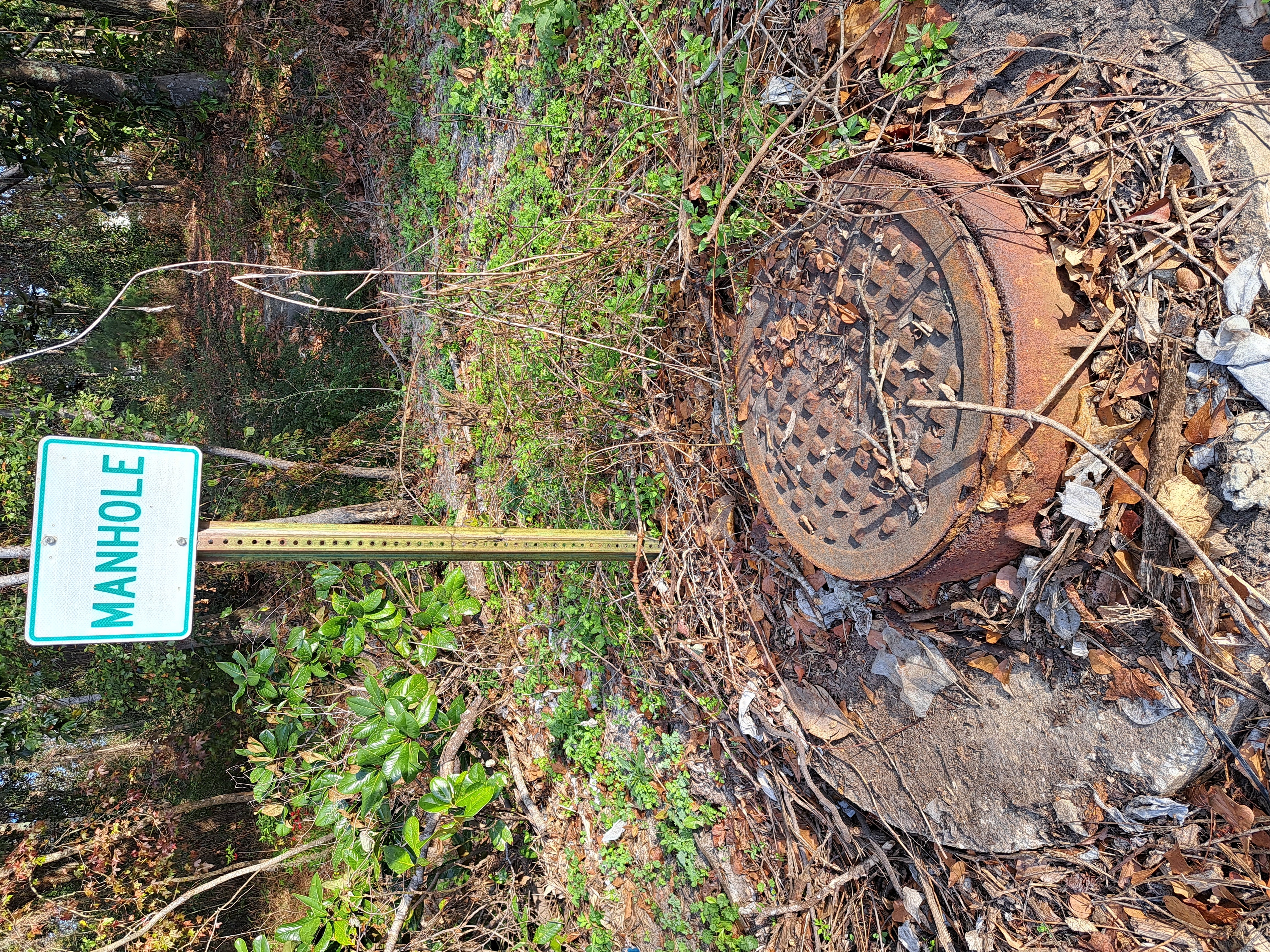 Manhole, east of Norman Drive, north of Hightower Creek, 2026-01-10 --Suzy Hall for WWALS