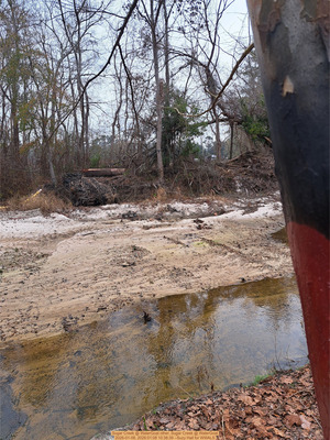 [Bottom scraped, Sugar Creek @ WaterGoat 2026-01-08, 2026:01:08 10:38:39 --Suzy Hall for WWALS]