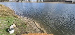 [Looking west, Hightower Creek @ ILM Pond, 2026-01-09 --jsq for WWALS, 2026:01:09 15:43:27, 30.8264304, -83.3274007]