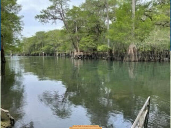 [Point Park, Ichetucknee River, 2025-05-26 --Linda Dicker for WWALS]