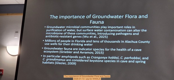 The importance of Groundwater Flora and Fauna, 2026-01-13 --jsq for WWALS