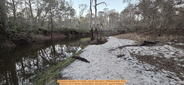 Upstream towards CC Creek, around that bend, Withlacoochee River, 2026:01:18 17:46:53, 30.8875943, -83.3241279 --jsq for WWALS