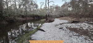 [Upstream towards CC Creek, around that bend, Withlacoochee River, 2026:01:18 17:46:53, 30.8875943, -83.3241279 --jsq for WWALS]