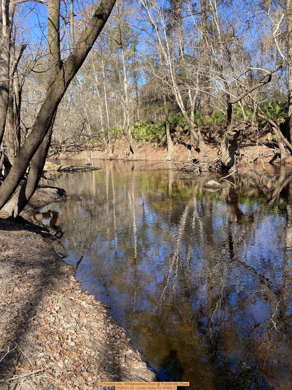 [Franklinville, Withlacoochee River @ Frankinville Road 2026-01-22 --Cindy Vedas for WWALS]