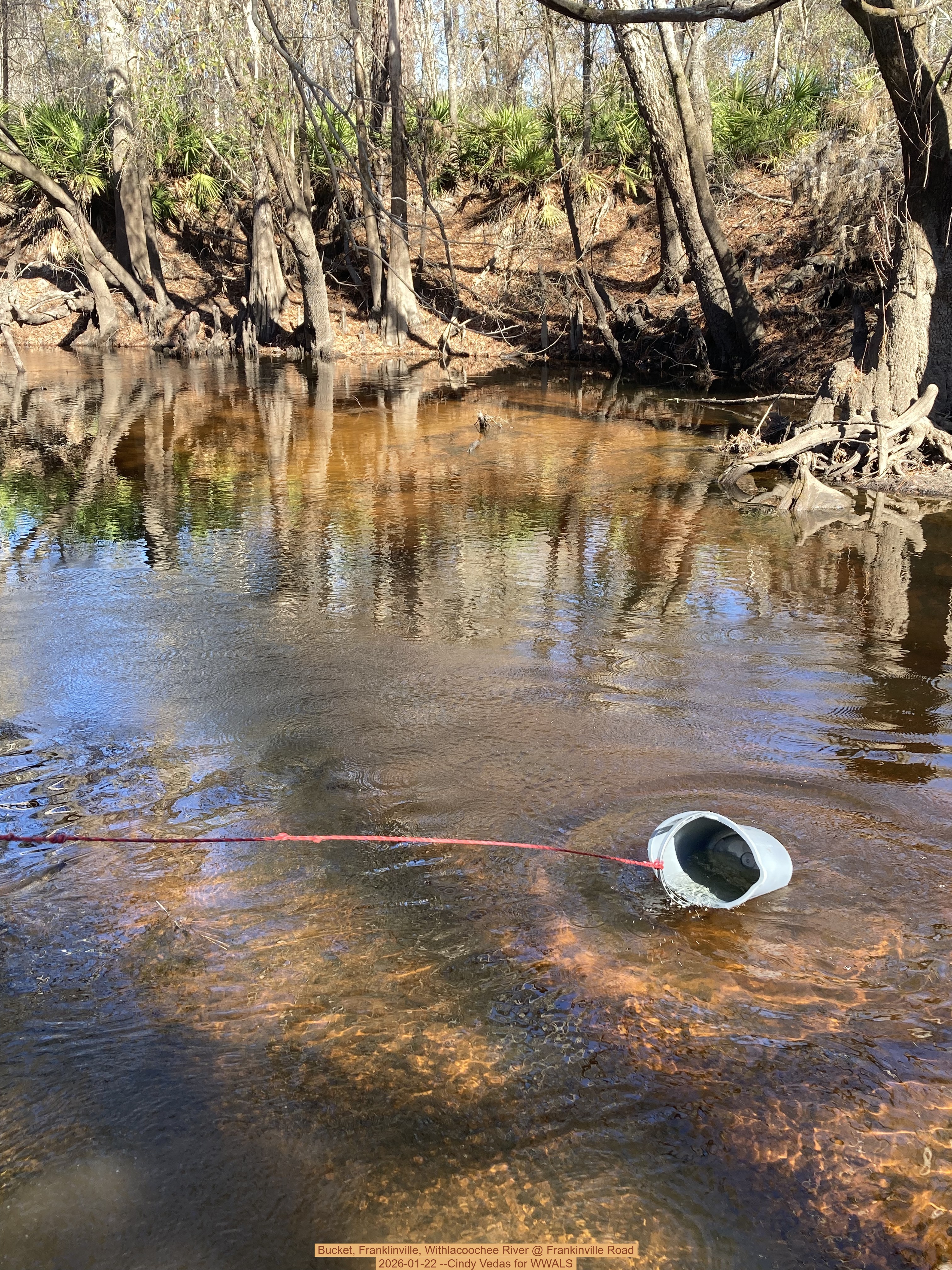 Bucket, Franklinville, Withlacoochee River @ Frankinville Road 2026-01-22 --Cindy Vedas for WWALS