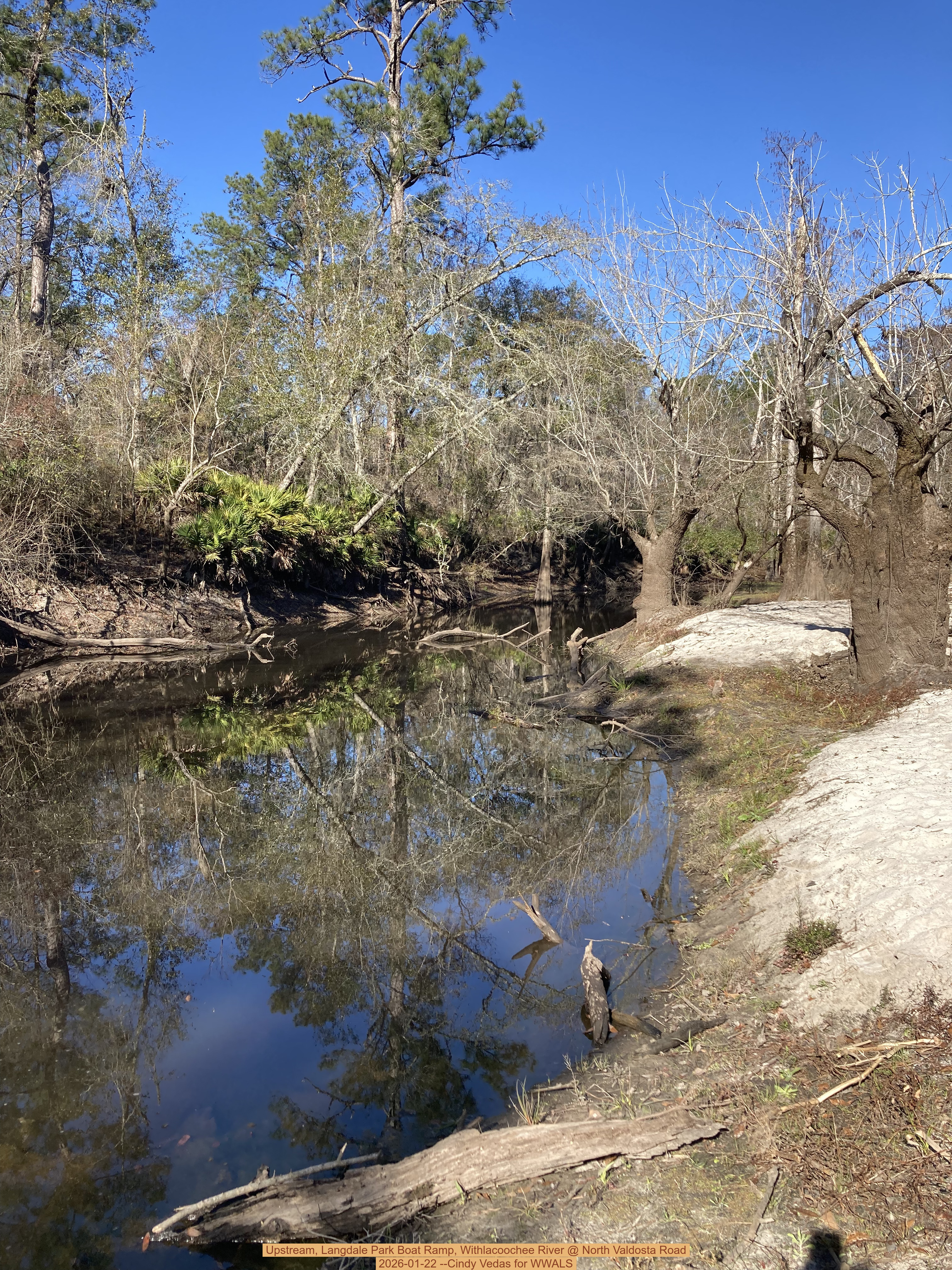 Upstream, Langdale Park Boat Ramp, Withlacoochee River @ North Valdosta Road 2026-01-22 --Cindy Vedas for WWALS
