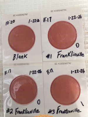 [Plates, Franklinville 2026-01-22 --Cindy Vedas for WWALS]