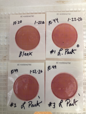 [Plates, Langdale Park Boat Ramp 2026-01-22 --Cindy Vedas for WWALS]