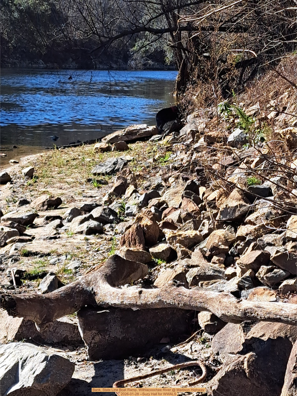 Bank, State Line Boat Ramp, Withlacoochee River @ Madison Highway 2026-01-28 --Suzy Hall for WWALS