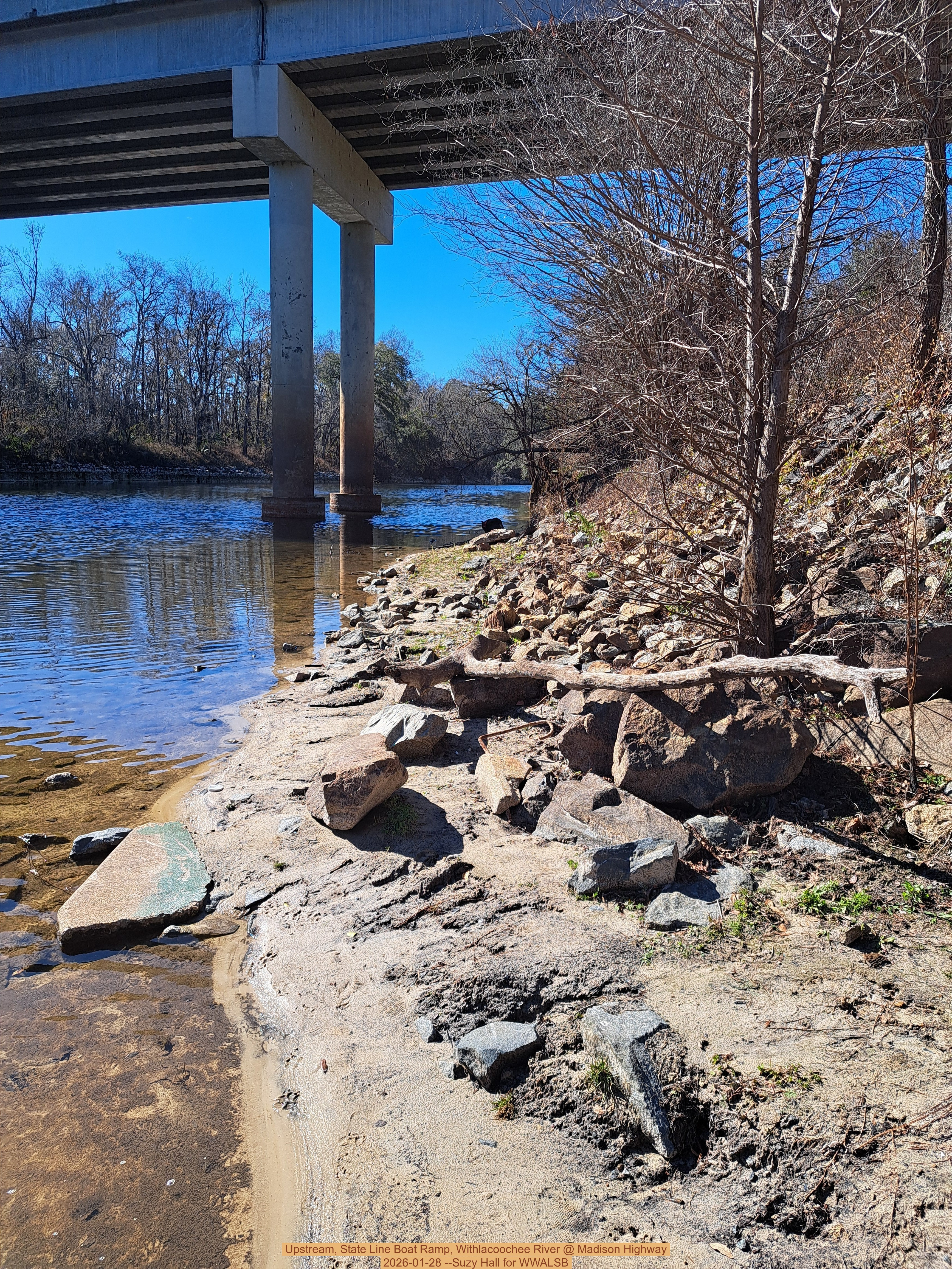 Upstream, State Line Boat Ramp, Withlacoochee River @ Madison Highway 2026-01-28 --Suzy Hall for WWALSB