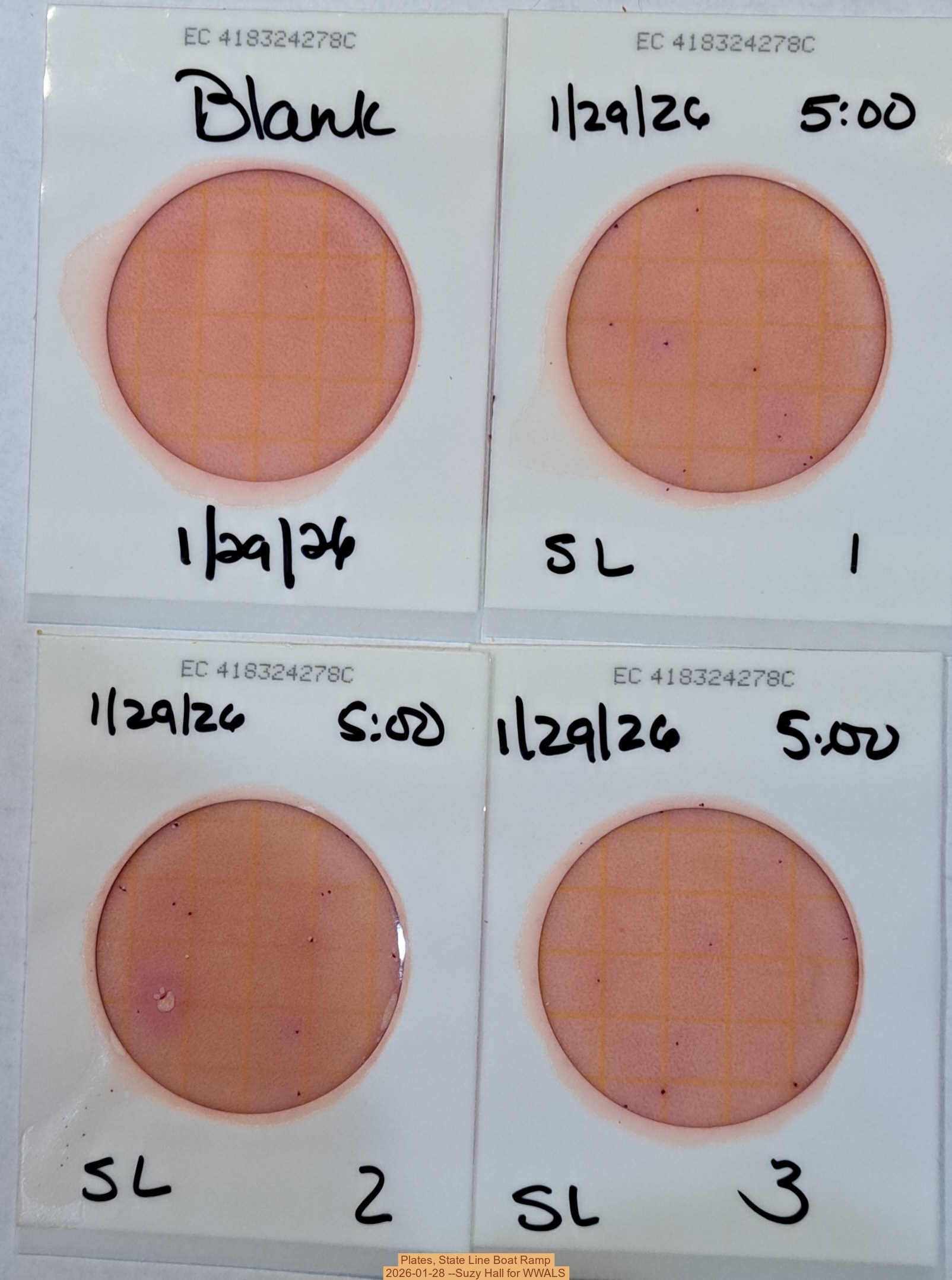 Plates, State Line Boat Ramp 2026-01-28 --Suzy Hall for WWALS