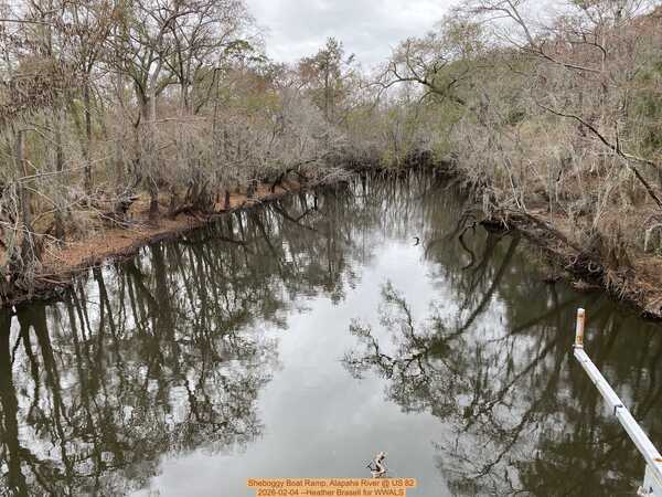 [Sheboggy Boat Ramp, Alapaha River @ US 82 2026-02-04 --Heather Brasell for WWALS]