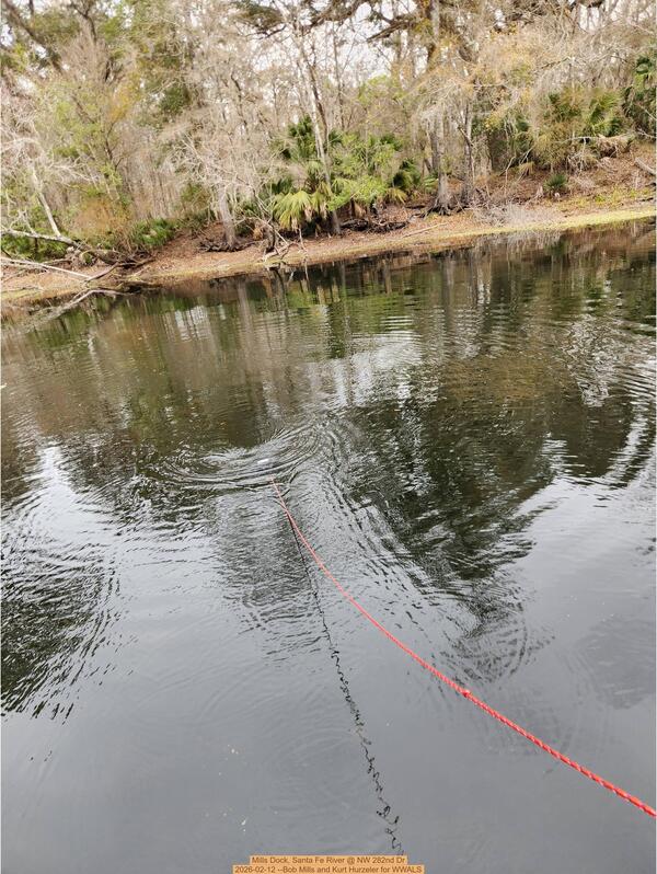 [Mills Dock, Santa Fe River @ NW 282nd Dr 2026-02-12 --Bob Mills and Kurt Hurzeler for WWALS]