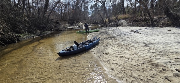 [Tish Hall collecting trash, 2026:02:14 13:02:36, 30.8633652, -83.3188649]