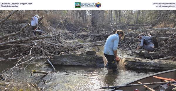 [Many chainsaws, 2026:02:14 13:53:02, 30.8634381, -83.3193566]