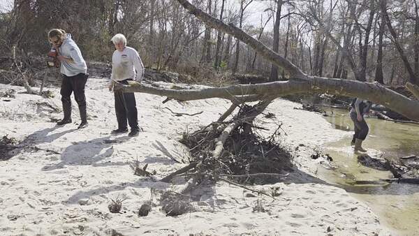 Movie: David Savage starting the Husqvarna chainsaw, 2026:02:14 14:20:54, 30.8642879, -83.3201194 (22M)